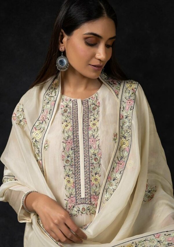Naariti Ruha - Organza Embroidery And Handwork Suit