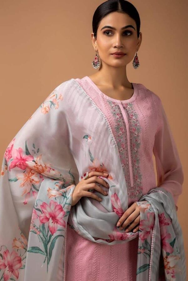 Naariti Vivum - Pure Chiffon Embroidered Suit
