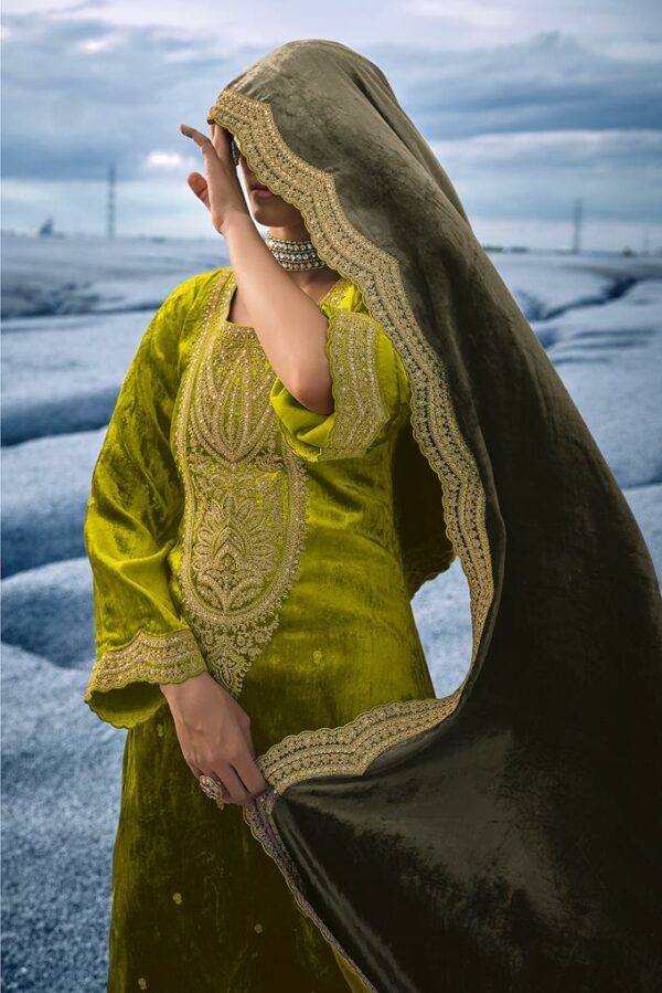 Aiqa Raahi 8908 - Pure Velvet With Fancy Work Suit