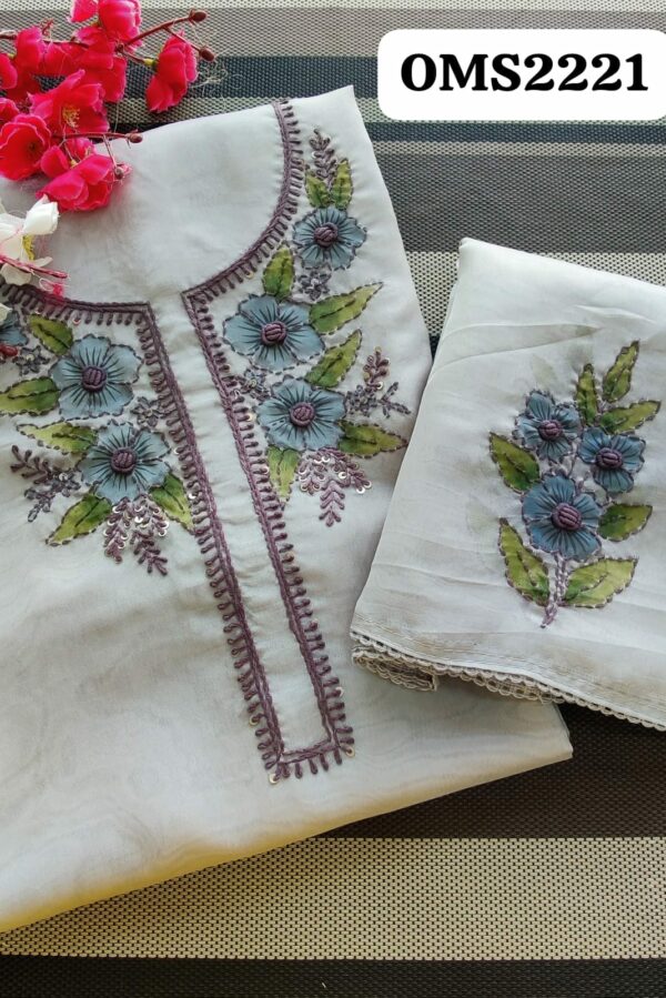 Beautiful Organza Handwork Embroidered Suit