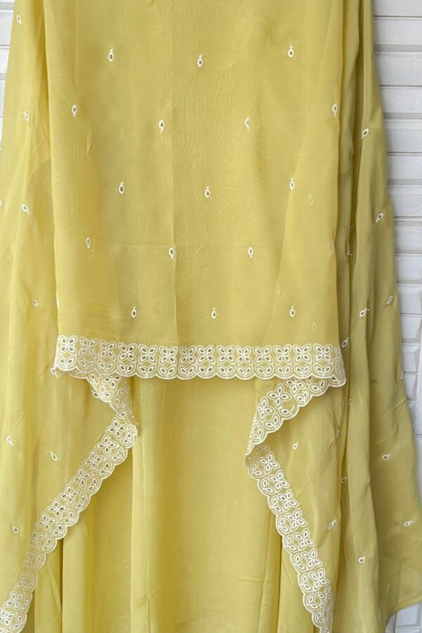 Organza With Sequence & Resham Embroidery Suit