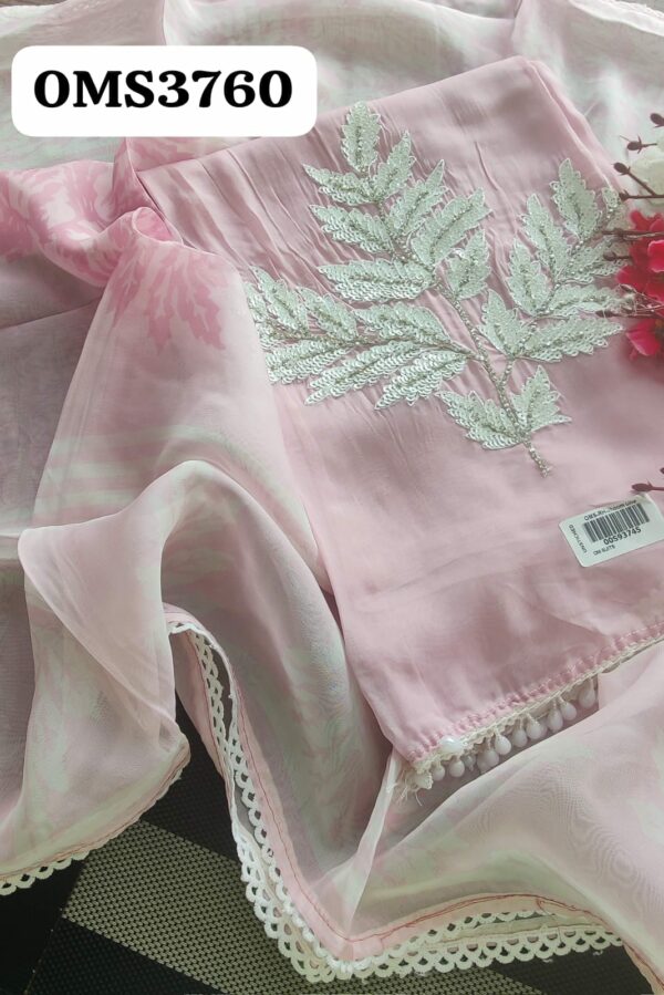 Beautiful Pure Organza Hand Embroidery Suit