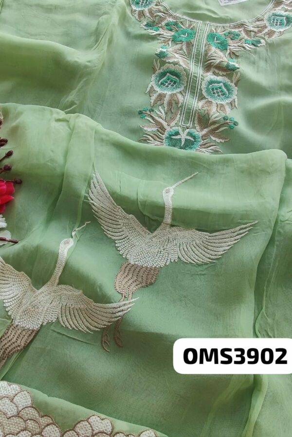Beautiful Organza Embroidery Suit