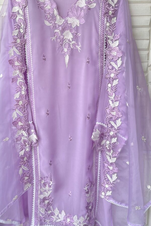 Fine Organza With Resham Embroidery Suit