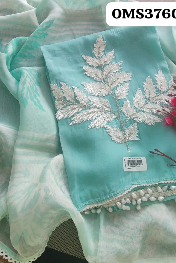 Beautiful Pure Organza Hand Embroidery Suit