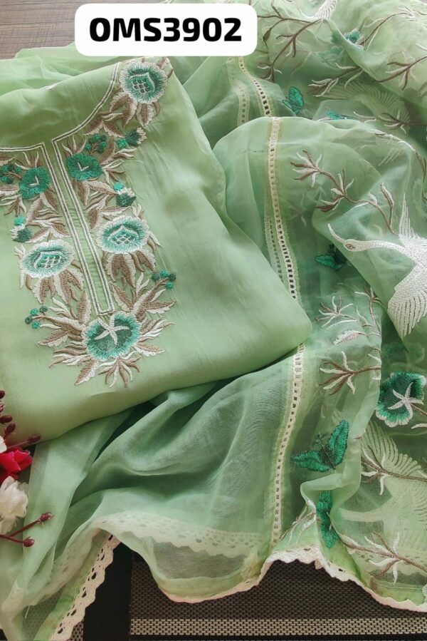Beautiful Organza Embroidery Suit