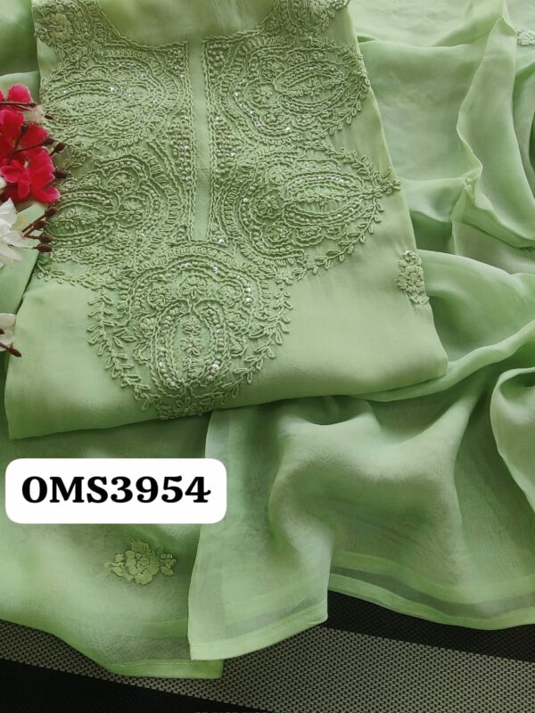 Beautiful Soft Organza Lucknowi Embroidery Suit