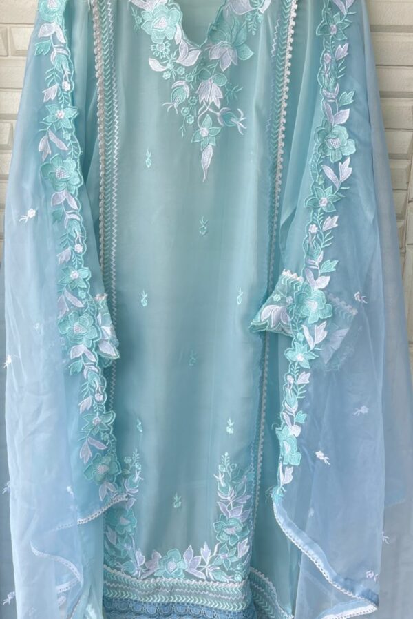 Beautiful Organza With Resham Embroidery Suit