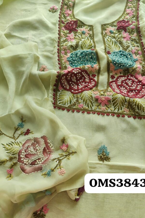 Beautiful Silk Knot Hand Work Embroidery Suit