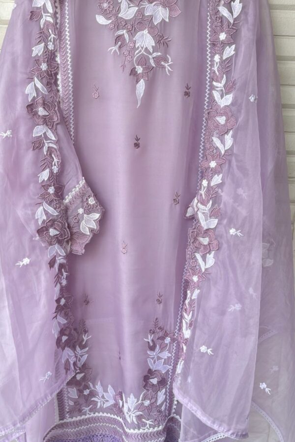 Beautiful Organza With Resham Embroidery Suit