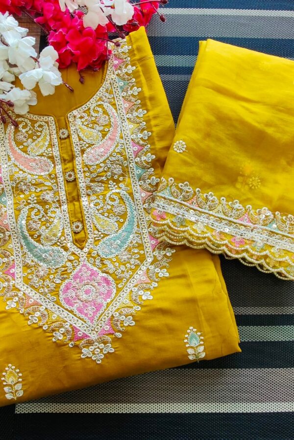Beautiful Soft Organza Embroidered Suit - TIF 1260